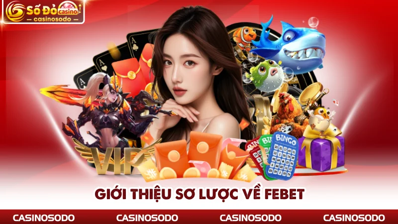 Giới thiệu sơ lược về Febet