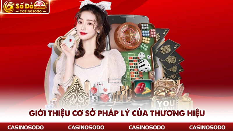 Giới thiệu cơ sở pháp lý của thương hiệu