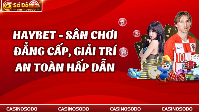 Haybet - Sân Chơi Đẳng Cấp, Giải Trí An Toàn Hấp Dẫn